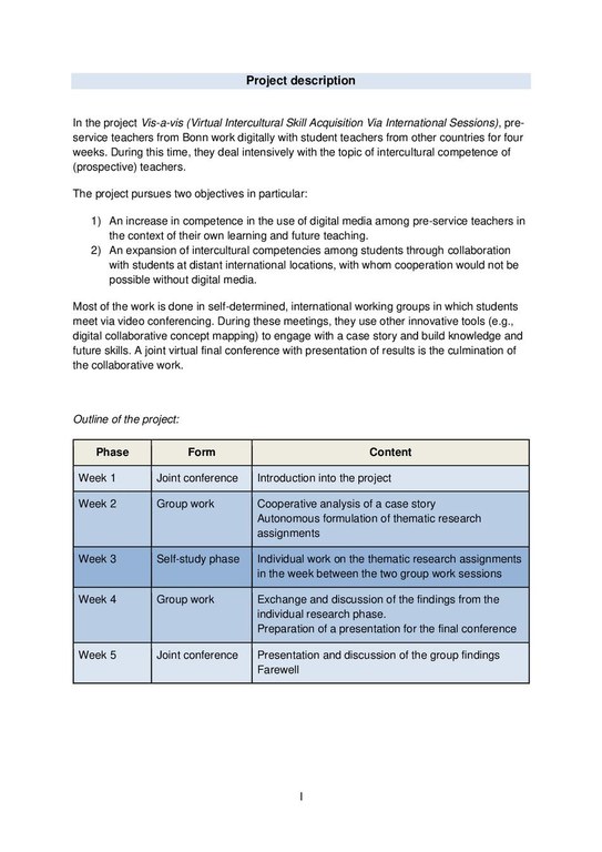 Project description vis a vis english.pdf