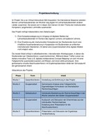 Projektbeschreibung vis a vis deutsch.pdf