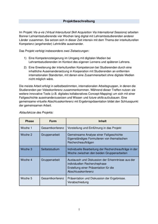 Projektbeschreibung vis a vis deutsch.pdf